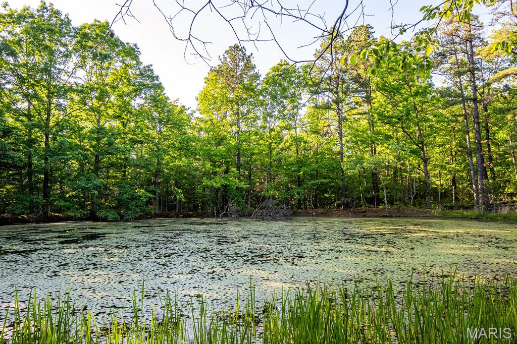 16051 Forrest Drive Property Photo 60
