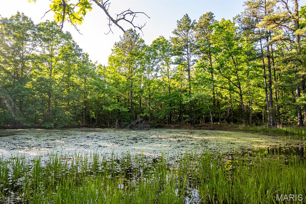 16051 Forrest Drive Property Photo 61