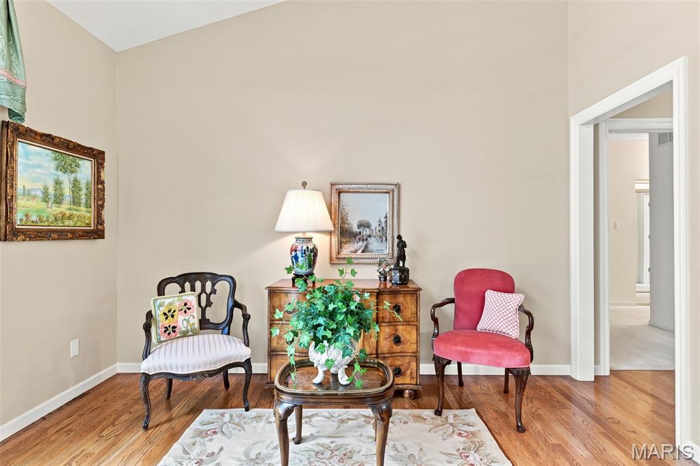 14632 Amberleigh Hill Court Property Photo 12