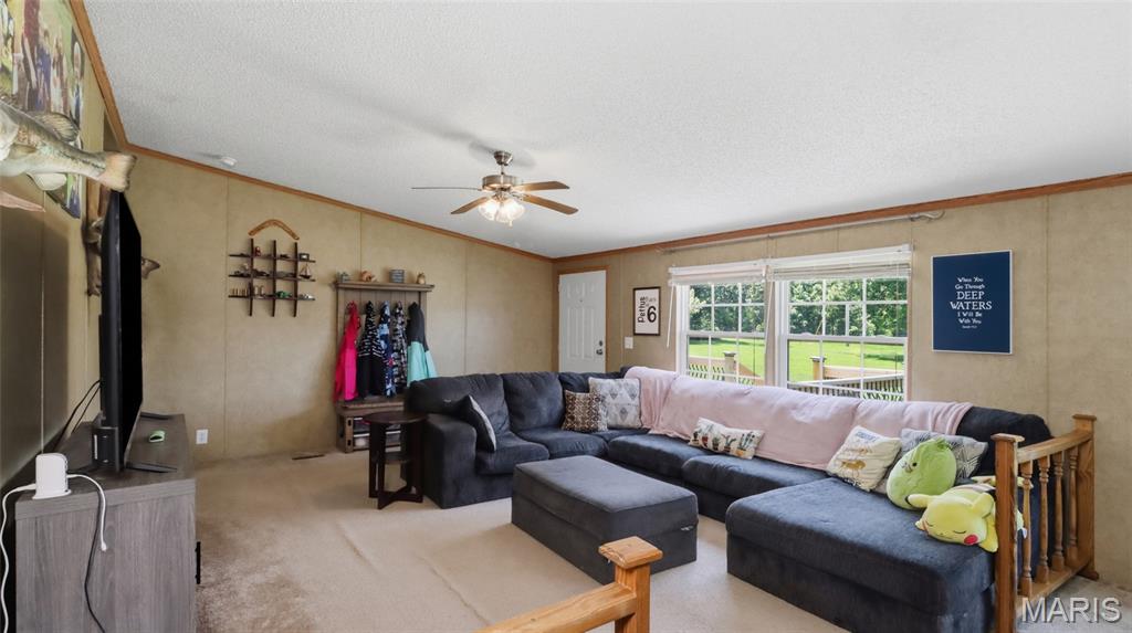 12936 Highway 17 Property Photo 4