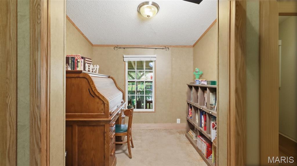 12936 Highway 17 Property Photo 17
