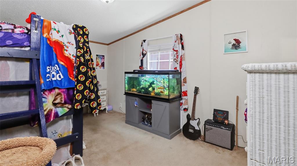 12936 Highway 17 Property Photo 23