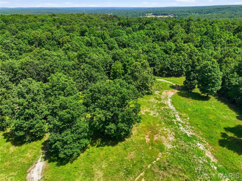 12936 Highway 17 Property Photo 42