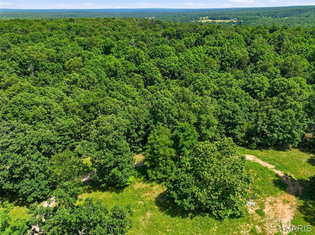 12936 Highway 17 Property Photo 43