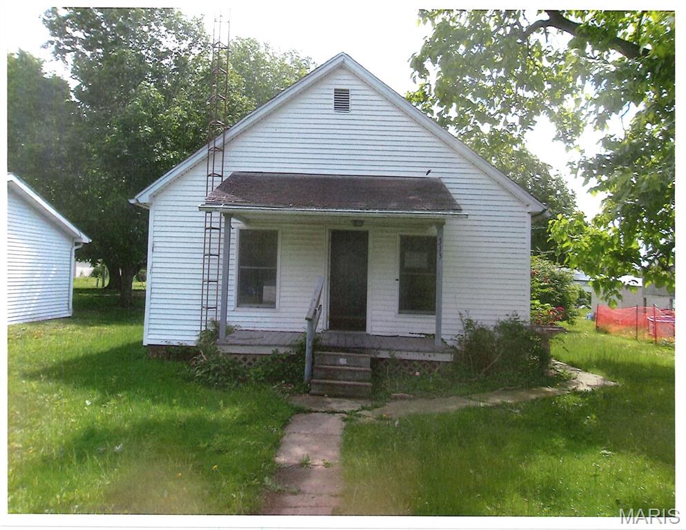 313 N 1st Street Property Photo 1