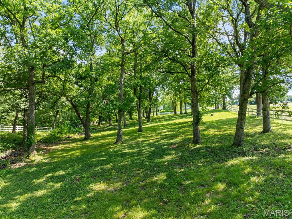 2976 Highway A Property Photo 58