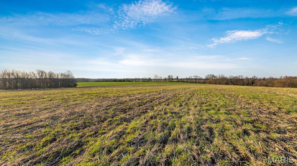26041050 Property Photo 5
