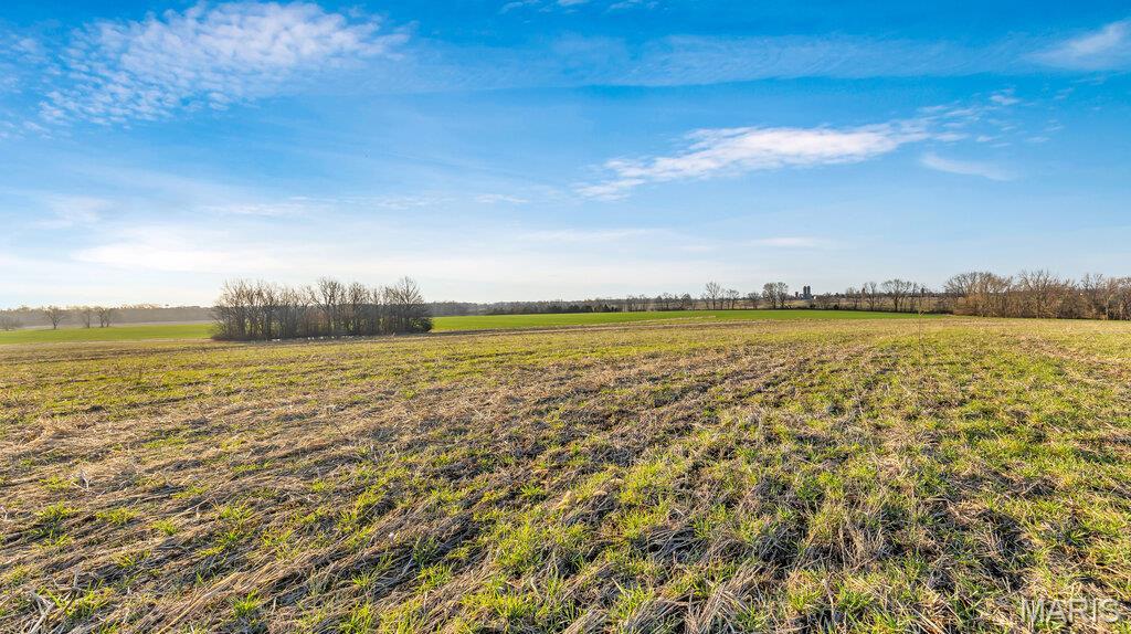 26041050 Property Photo 6