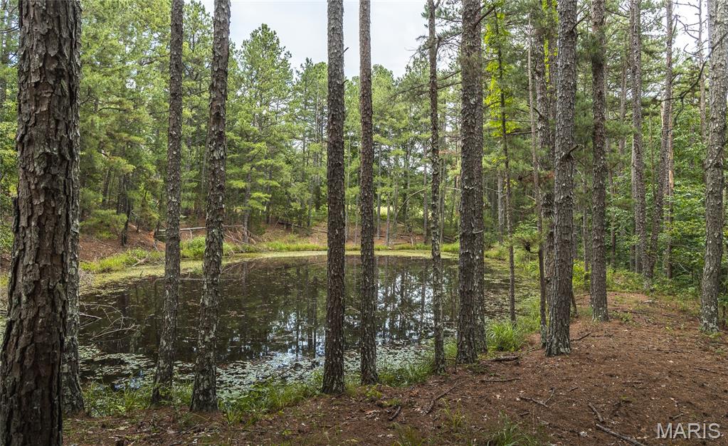 27656 State Route Ww Property Photo 90