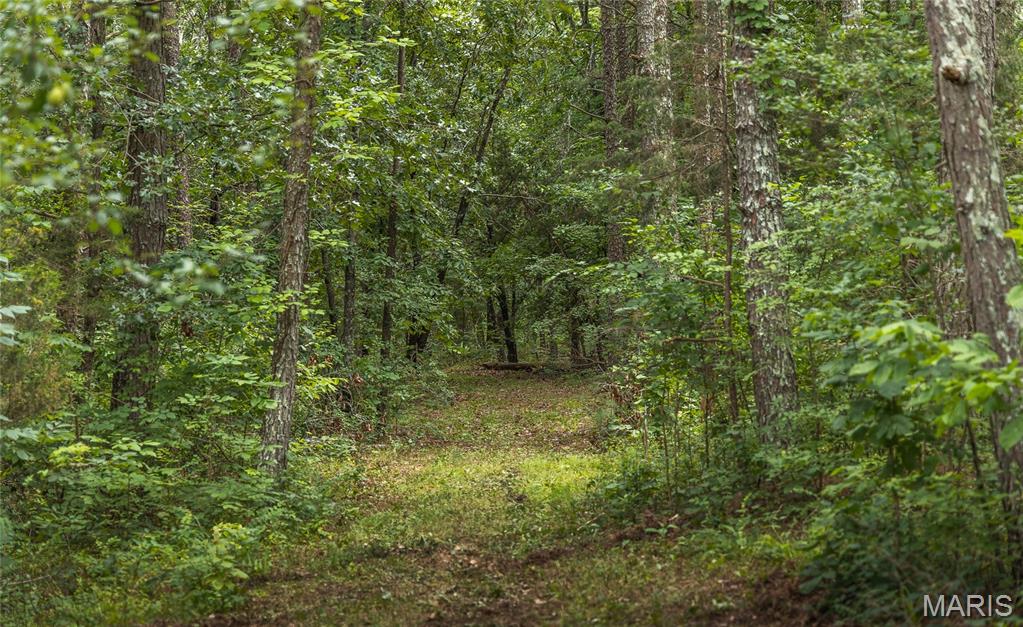 27656 State Route Ww Property Photo 92