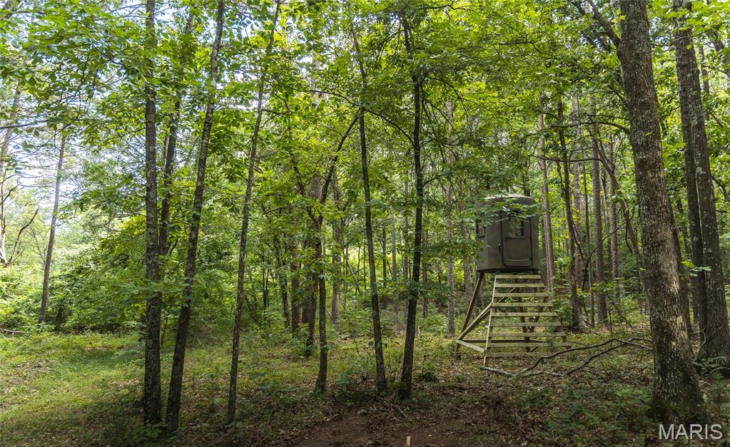 27656 State Route Ww Property Photo 93