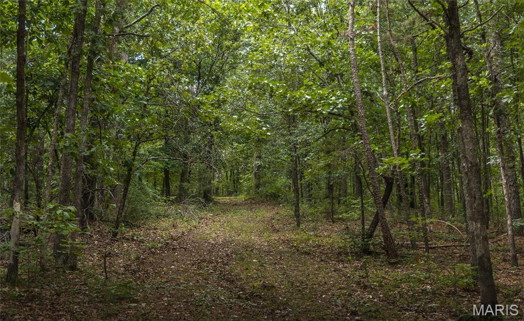 27656 State Route Ww Property Photo 95
