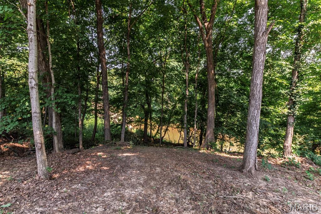 1823 Iron Mountain Dr Drive Property Photo 41
