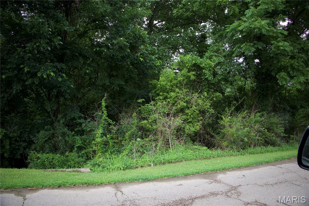 0 Parker Ave E Property Photo 5