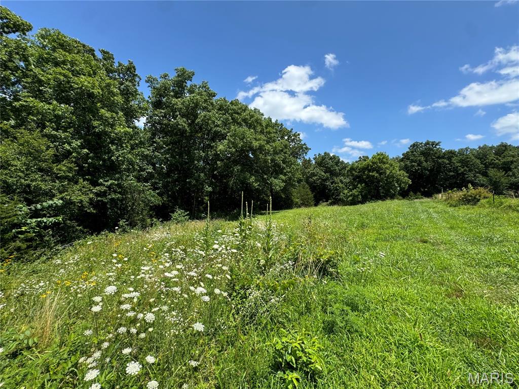 4179 Highway Ee Property Photo 82