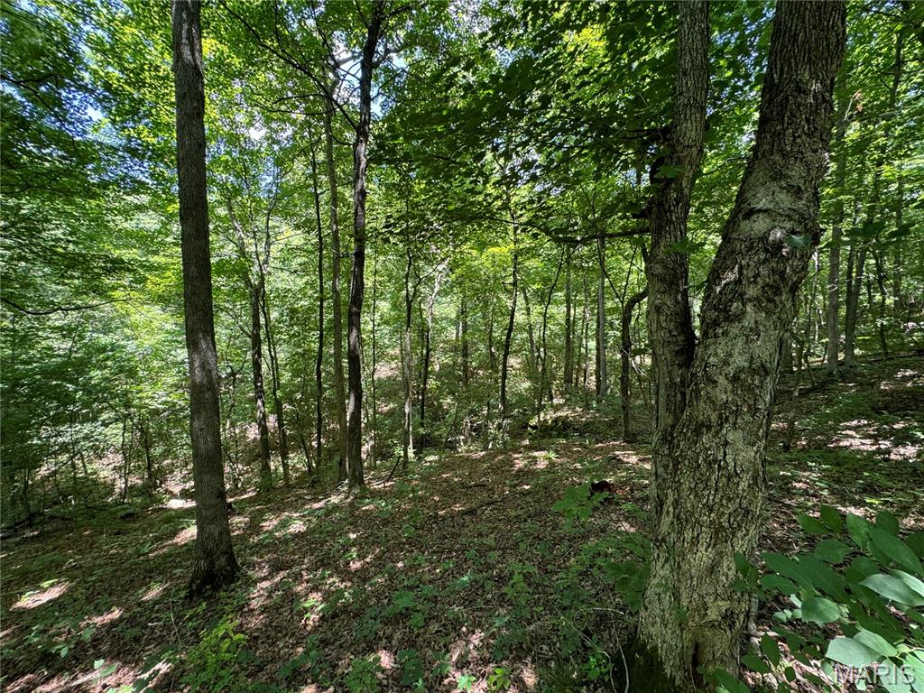 4179 Highway Ee Property Photo 83