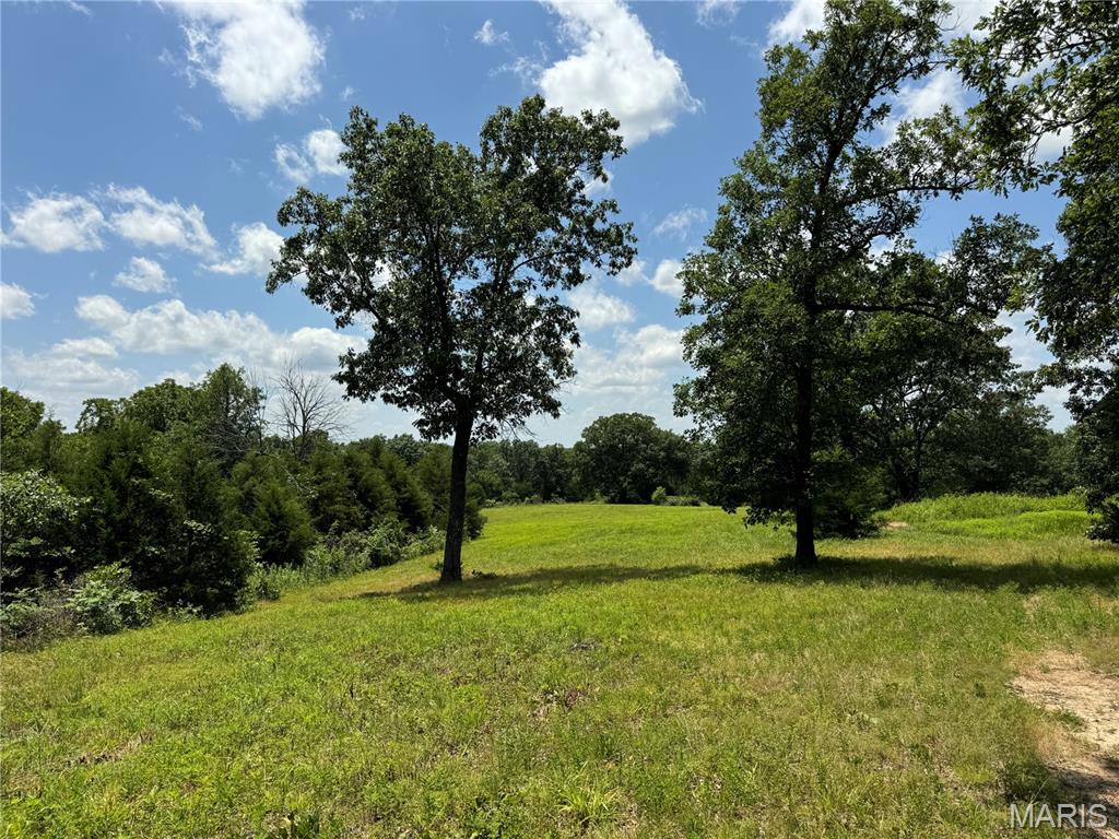 4179 Highway Ee Property Photo 86
