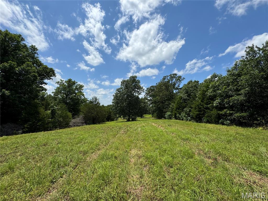 4179 Highway Ee Property Photo 87