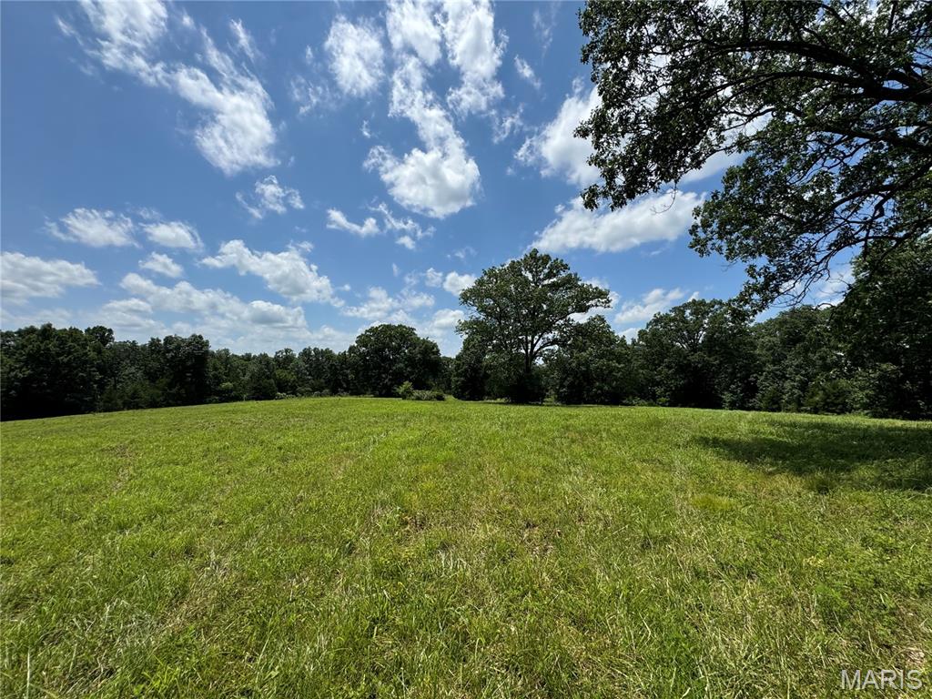 4179 Highway Ee Property Photo 88