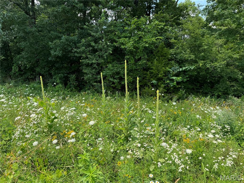4179 Highway Ee Property Photo 89