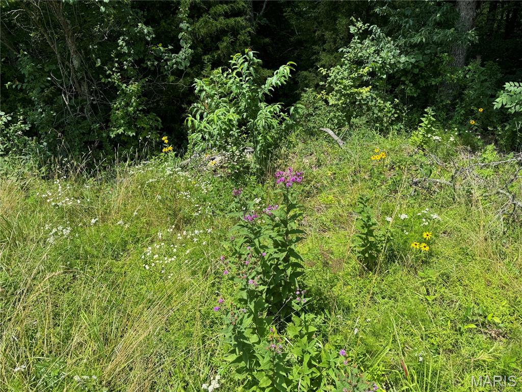 4179 Highway Ee Property Photo 90