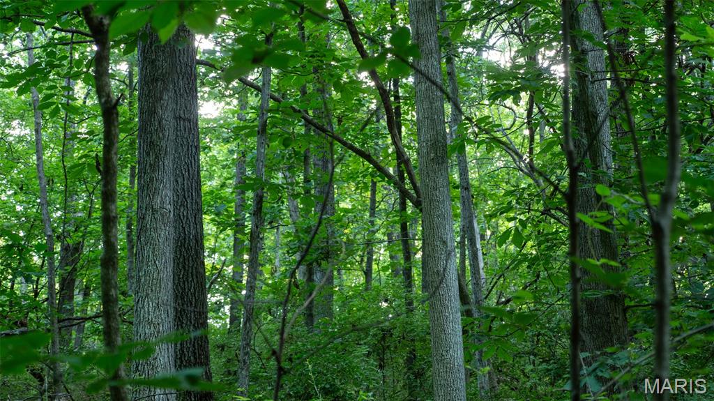 1208 Bethany Lane Property Photo 24