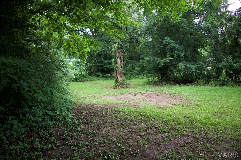 0 Ponderosa Road Property Photo 3