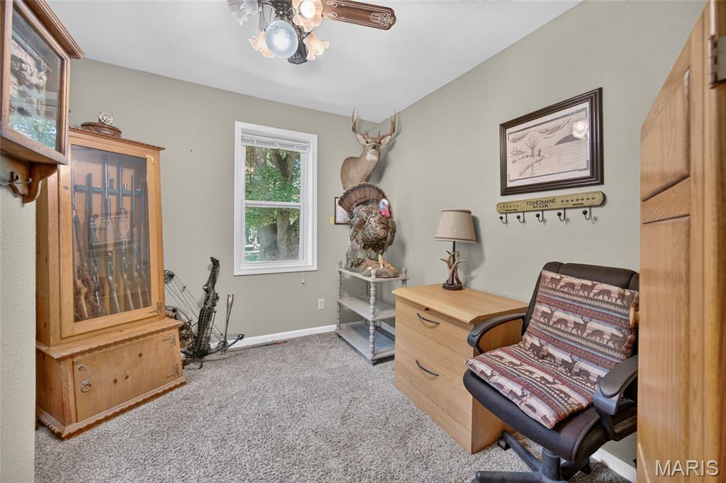 11126 Highway Z Property Photo 56