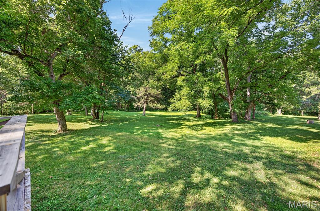 11126 Highway Z Property Photo 58