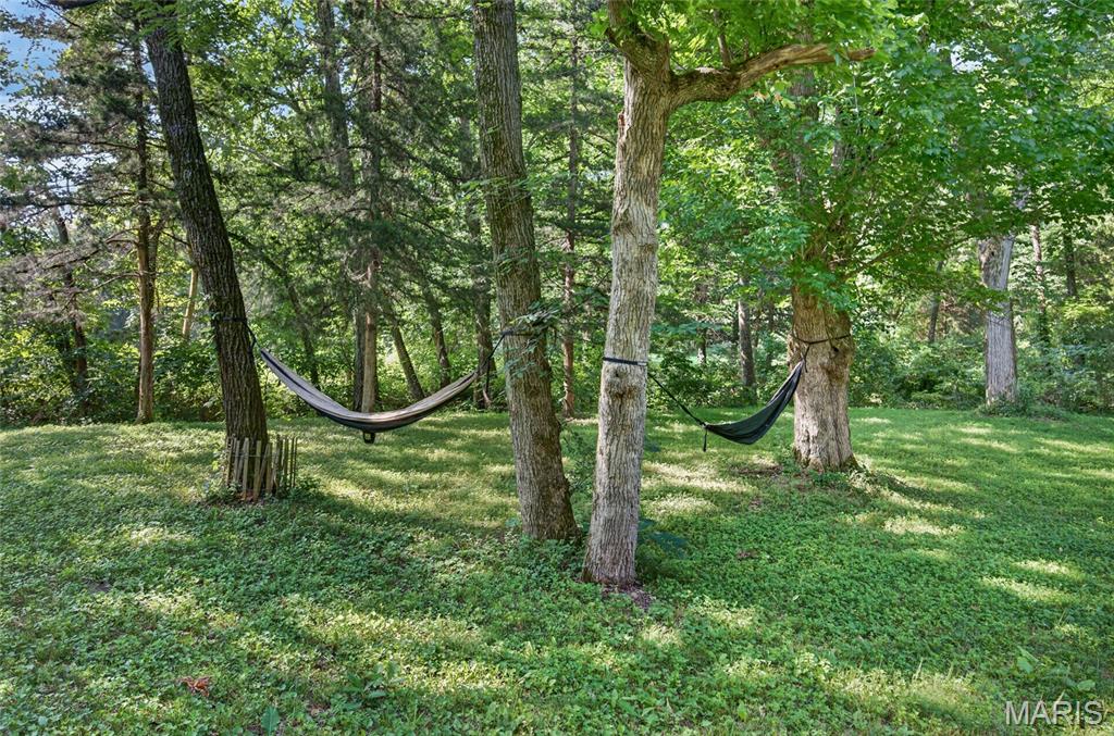 11126 Highway Z Property Photo 65