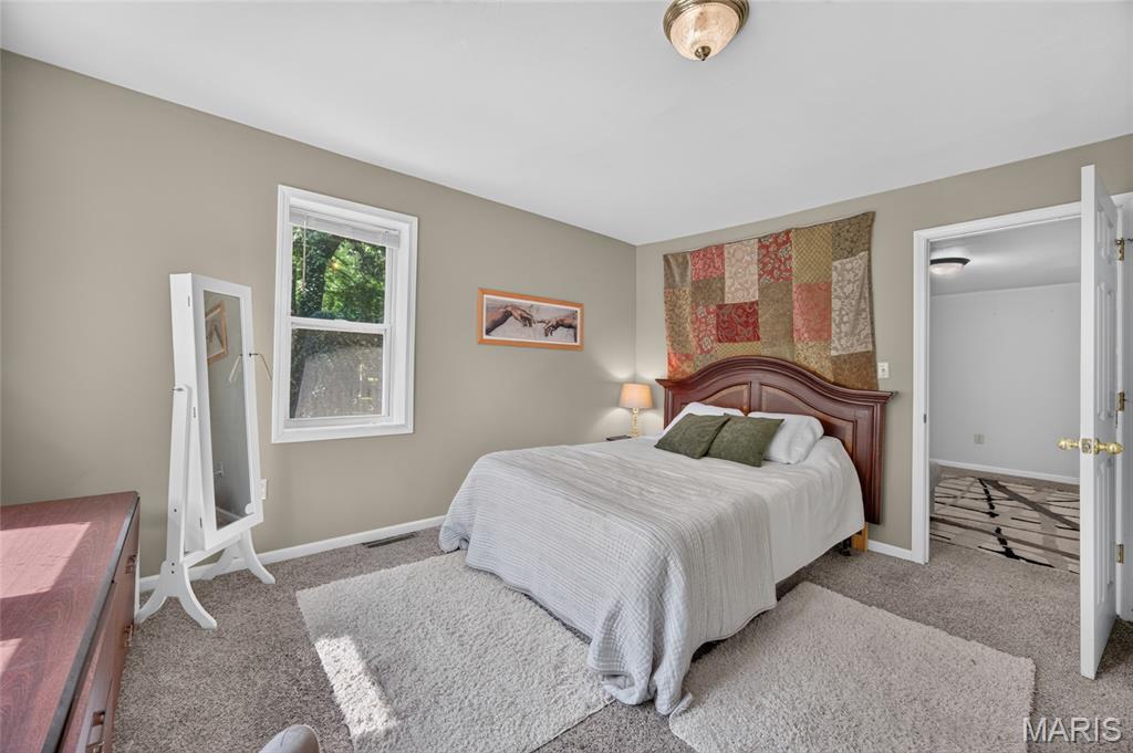 11126 Highway Z Property Photo 71