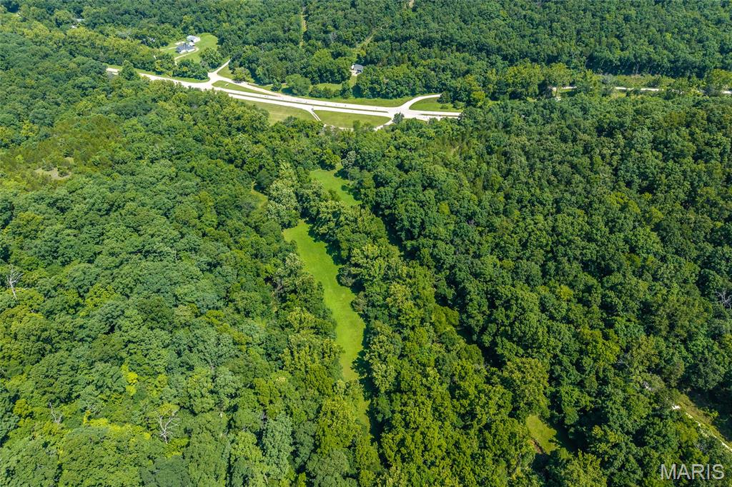 11126 Highway Z Property Photo 78