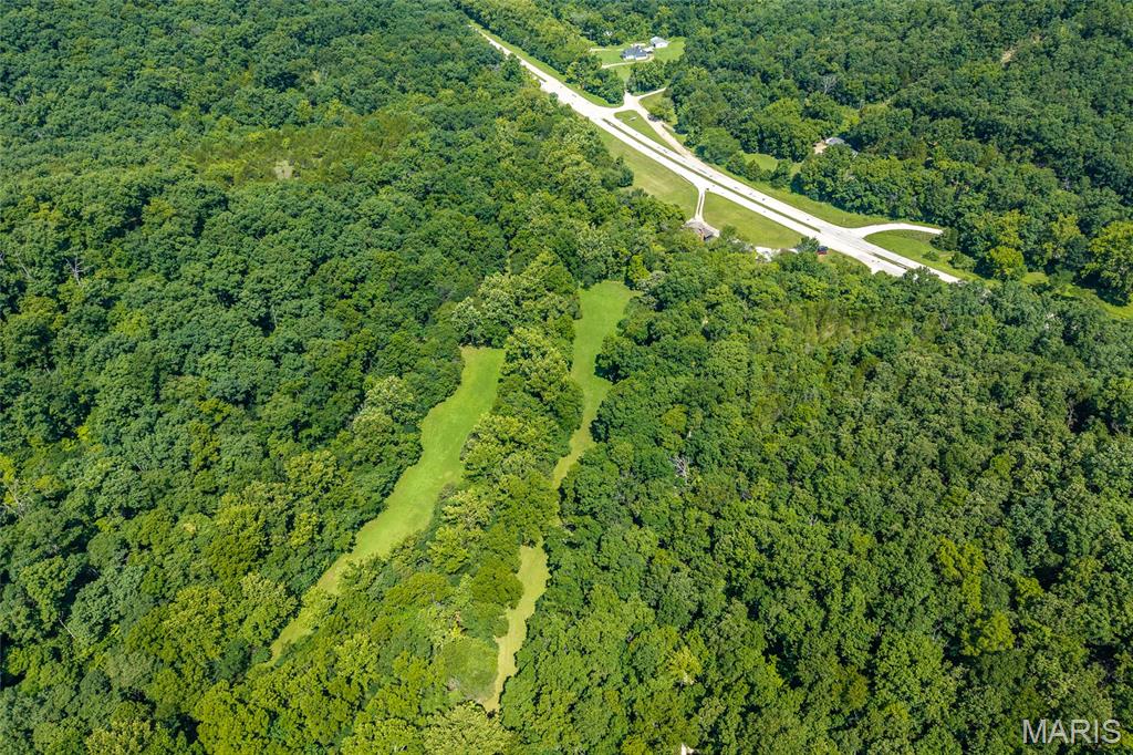 11126 Highway Z Property Photo 79