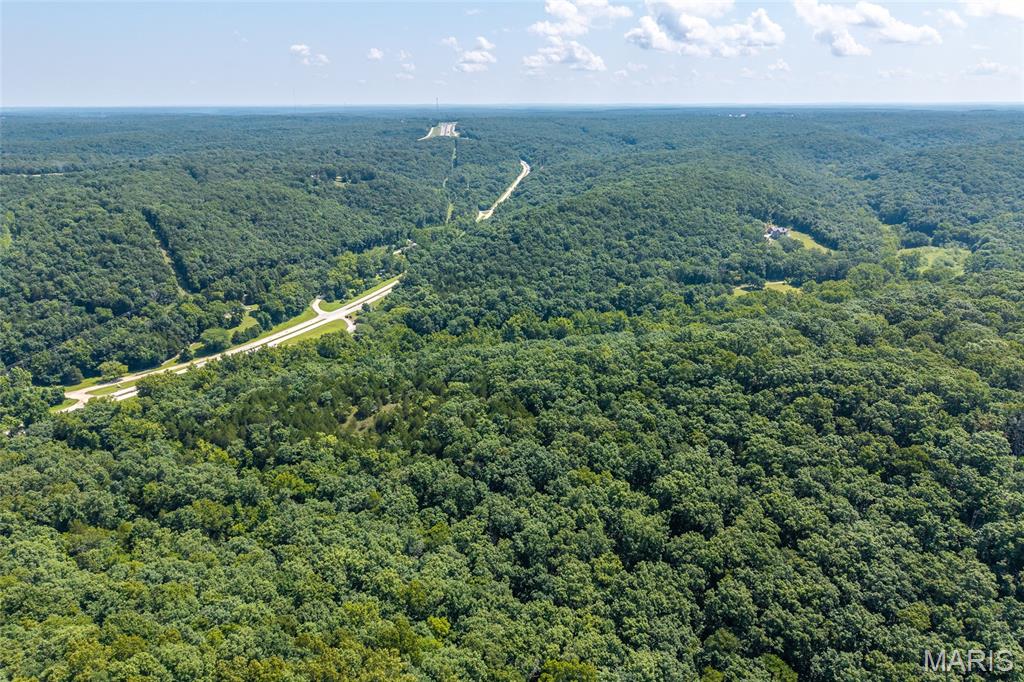 11126 Highway Z Property Photo 89