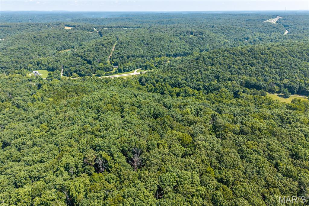 11126 Highway Z Property Photo 90
