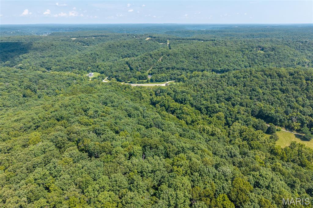 11126 Highway Z Property Photo 91
