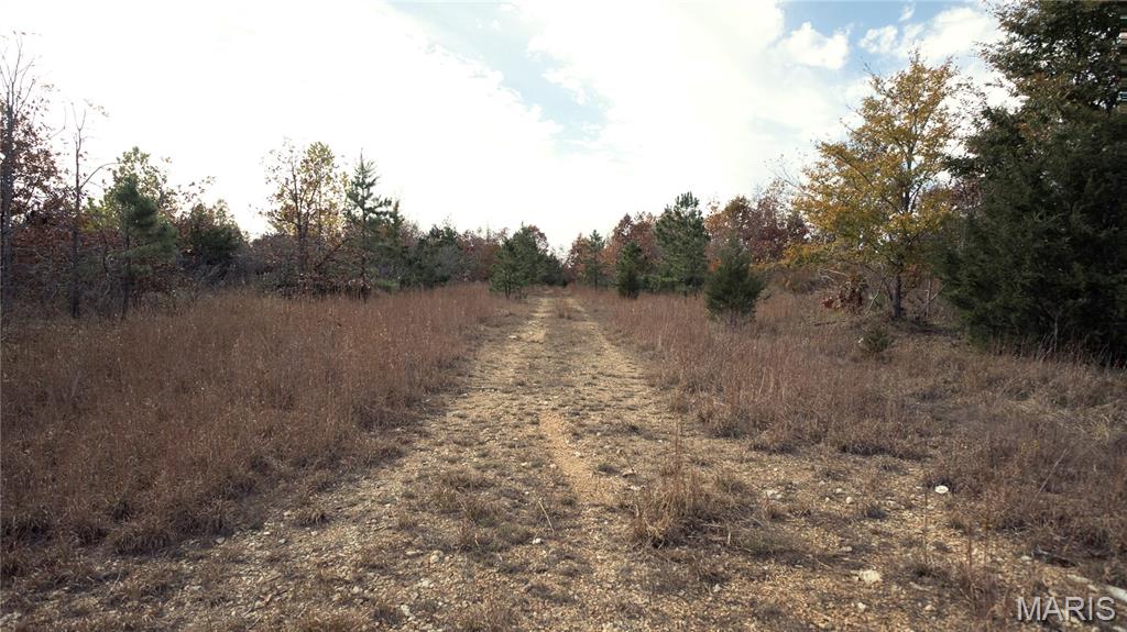 0 Highway 49 Tract 9 Property Photo 2