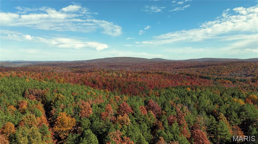 0 Highway 49 Tract 9 Property Photo 3