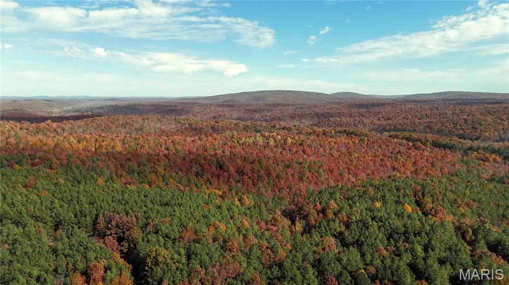 0 Highway 49 Tract 9 Property Photo 4