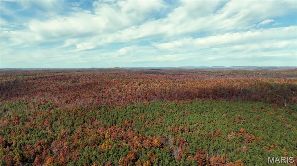 0 Highway 49 Tract 9 Property Photo 5