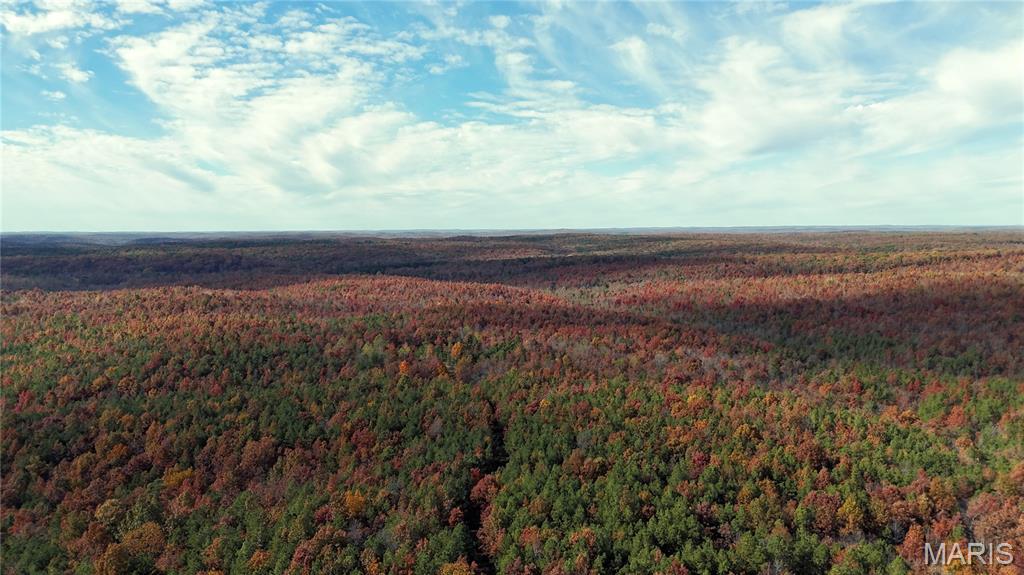 0 Highway 49 Tract 9 Property Photo 6