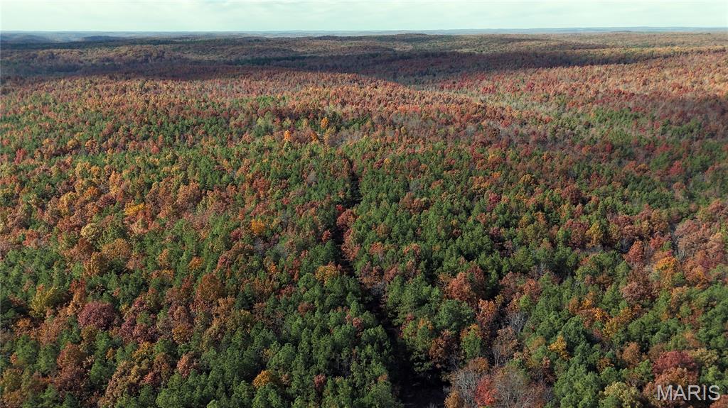 0 Highway 49 Tract 9 Property Photo 7