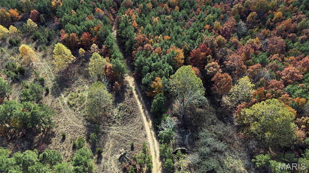 0 Highway 49 Tract 9 Property Photo 8
