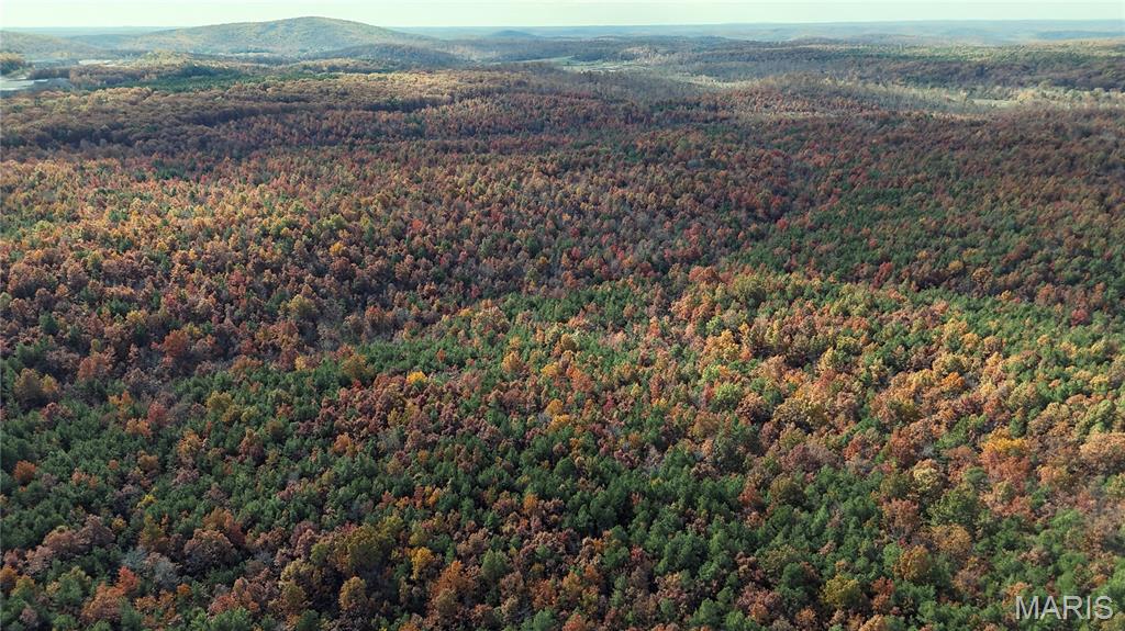 0 Highway 49 Tract 9 Property Photo 9
