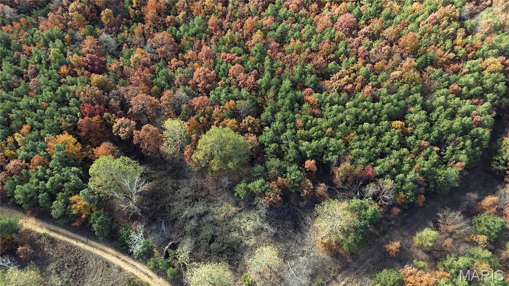 0 Highway 49 Tract 9 Property Photo 10