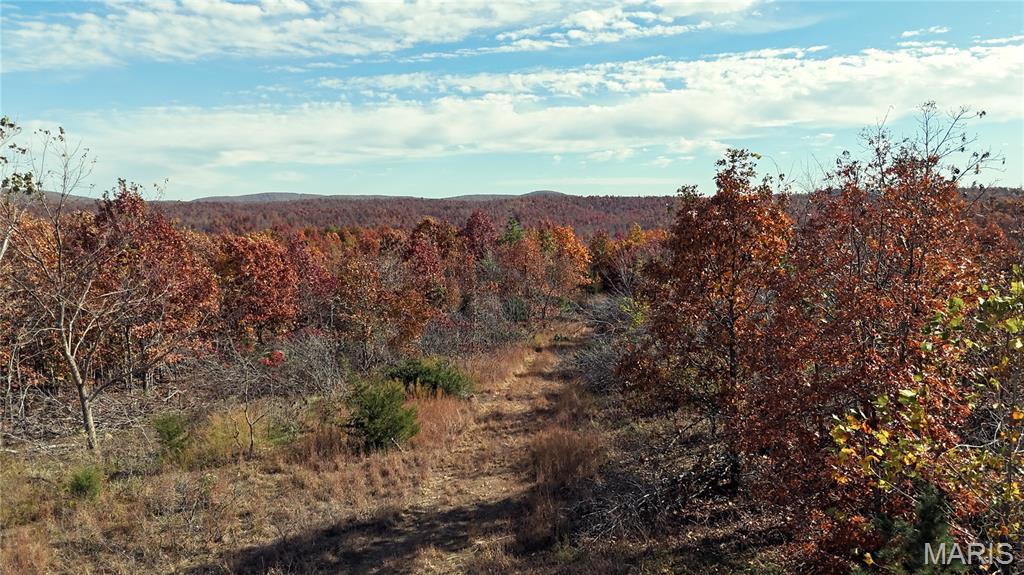 0 Highway 49 Tract 9 Property Photo 13