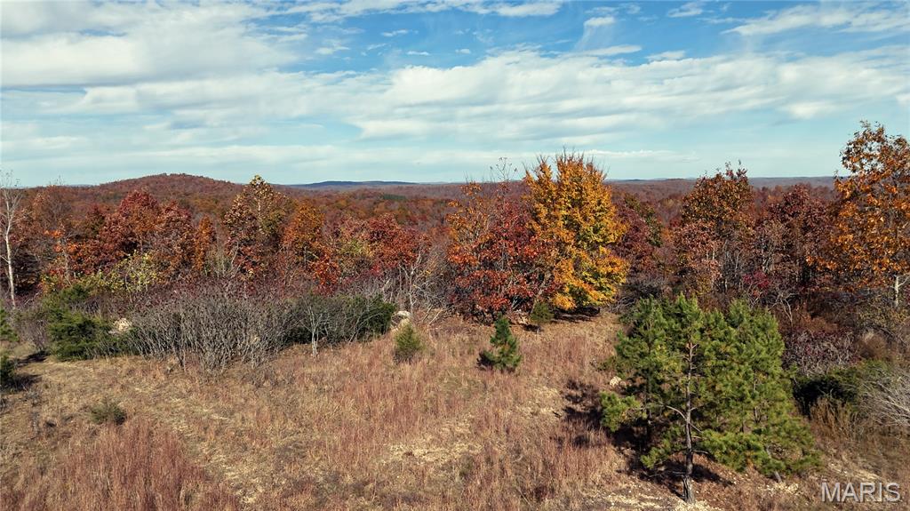 0 Highway 49 Tract 9 Property Photo 14