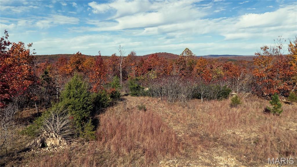 0 Highway 49 Tract 9 Property Photo 15