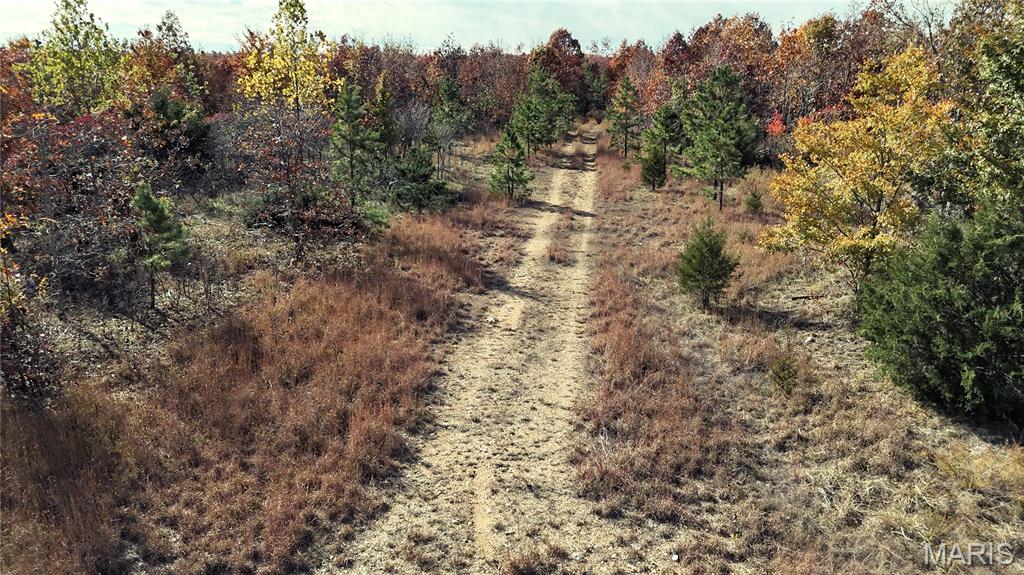 0 Highway 49 Tract 9 Property Photo 16