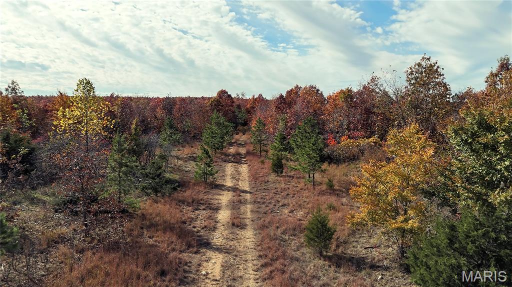 0 Highway 49 Tract 9 Property Photo 17
